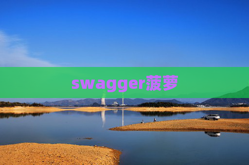 swagger菠萝